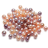 Colourful Multiple Pearl Oyster